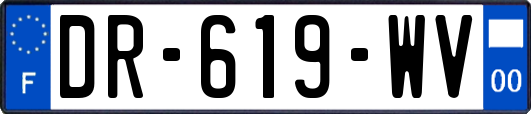 DR-619-WV