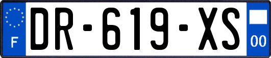 DR-619-XS