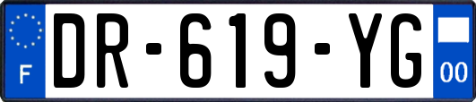 DR-619-YG