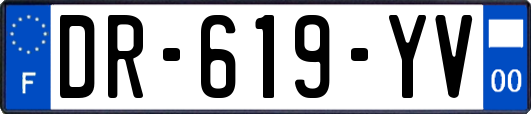 DR-619-YV