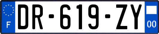 DR-619-ZY