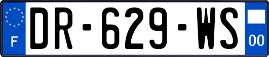 DR-629-WS