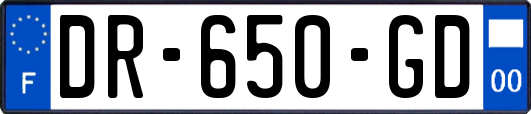 DR-650-GD