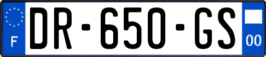 DR-650-GS