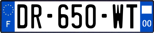 DR-650-WT