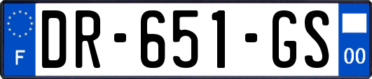 DR-651-GS