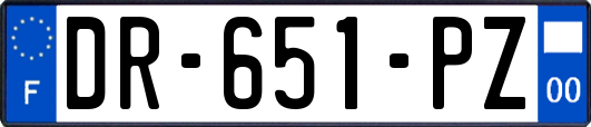 DR-651-PZ