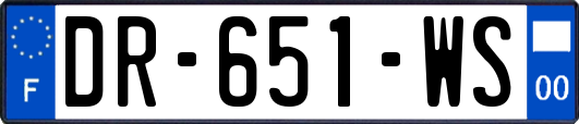 DR-651-WS