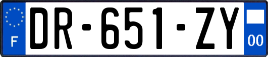 DR-651-ZY