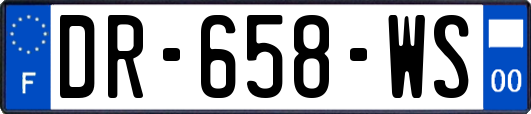 DR-658-WS