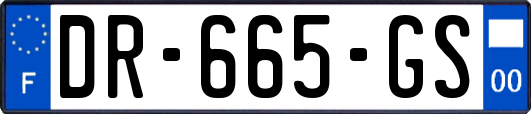 DR-665-GS