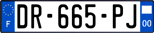 DR-665-PJ