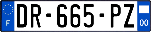 DR-665-PZ