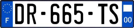 DR-665-TS