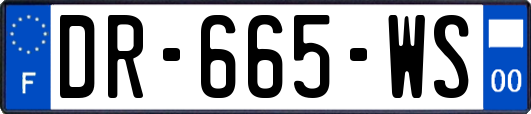 DR-665-WS