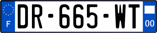 DR-665-WT