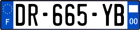 DR-665-YB