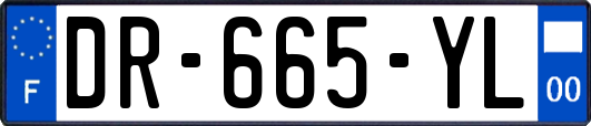 DR-665-YL