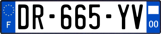 DR-665-YV