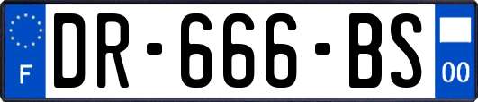 DR-666-BS