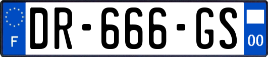 DR-666-GS