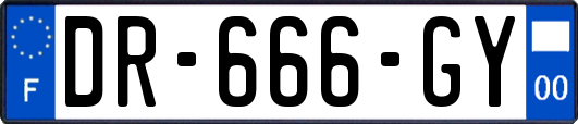 DR-666-GY