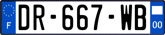 DR-667-WB