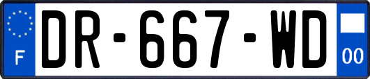 DR-667-WD