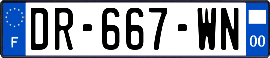 DR-667-WN