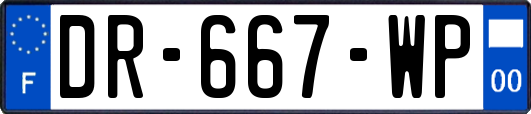 DR-667-WP