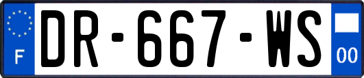 DR-667-WS