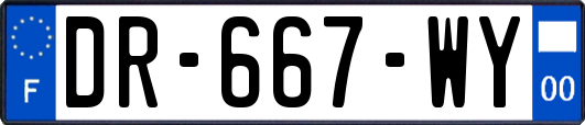 DR-667-WY