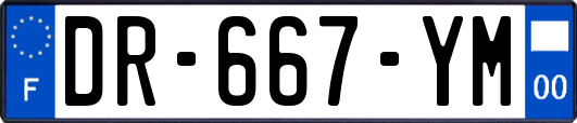 DR-667-YM