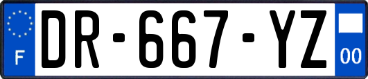 DR-667-YZ