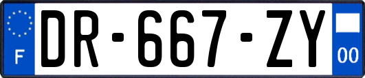 DR-667-ZY