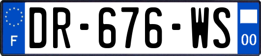 DR-676-WS