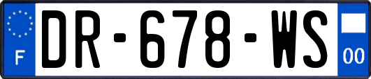 DR-678-WS