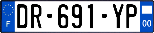 DR-691-YP