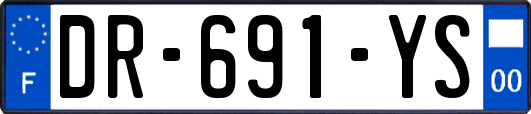 DR-691-YS