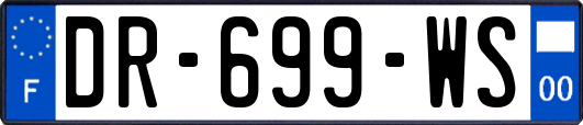 DR-699-WS