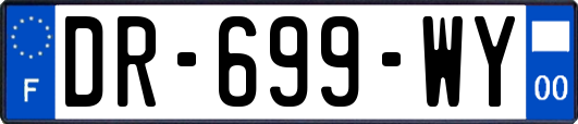 DR-699-WY