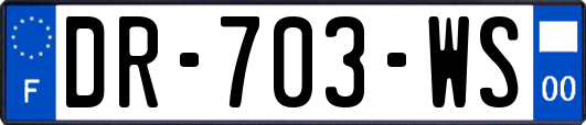 DR-703-WS