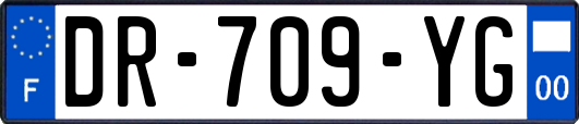 DR-709-YG