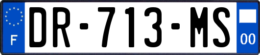 DR-713-MS