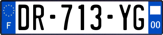 DR-713-YG