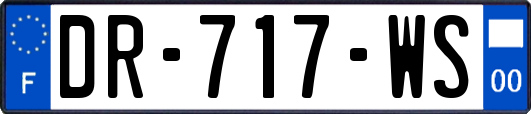DR-717-WS