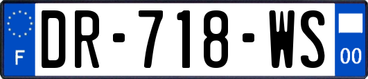 DR-718-WS