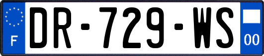 DR-729-WS