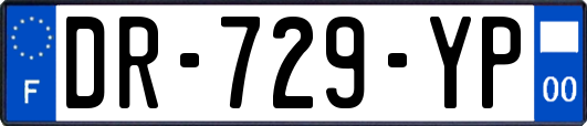 DR-729-YP