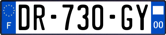 DR-730-GY